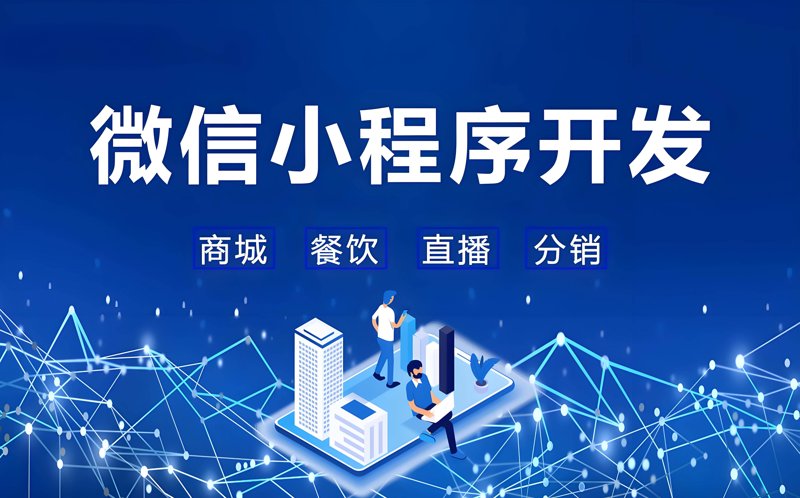 合肥网站建设：选择本地服务商还是全国平台？
